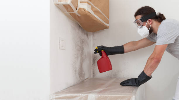Professional Bathroom Mold Removal technician working in Williamstown, KY